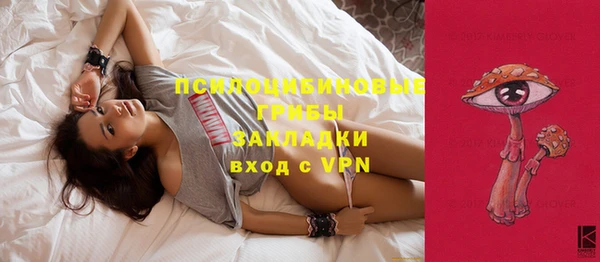 ПСИЛОЦИБИНОВЫЕ ГРИБЫ Каменногорск