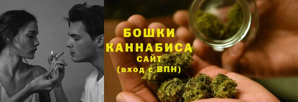 прущий лед Каменка