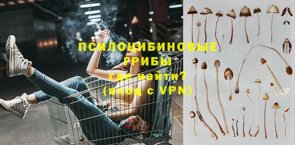 прущий лед Каменка
