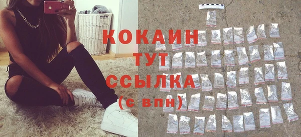 прущий лед Каменка