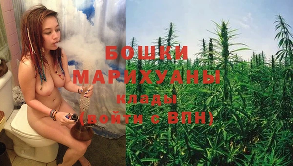 ПСИЛОЦИБИНОВЫЕ ГРИБЫ Каменногорск