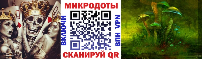 omg вход  где найти   Кондрово  Псилоцибиновые грибы MAGIC MUSHROOMS 